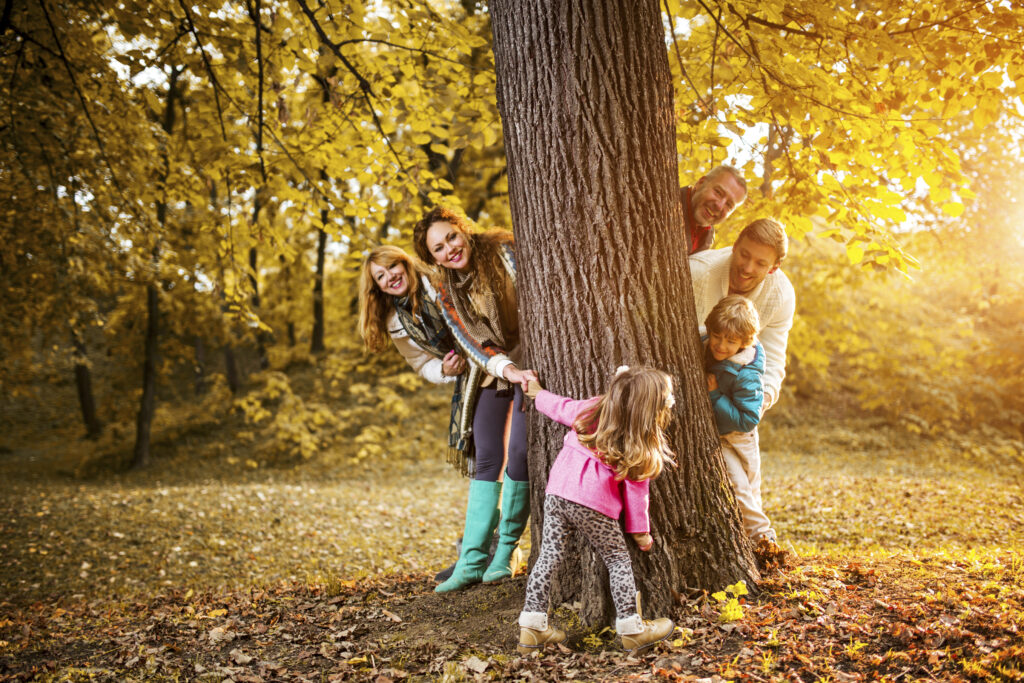 Children’s First Dental Visit: Family Dentist in North Bay at Northern Lakes Dental